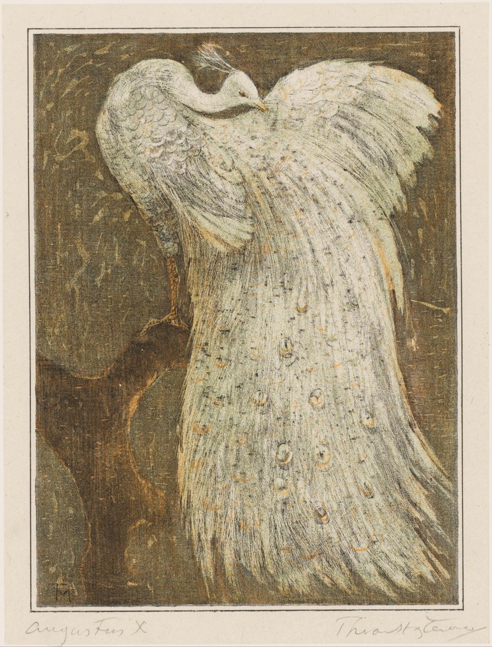 Valkoinen riikinkukko oksalla tekijältä Theo van Hoytema (signed by artist)