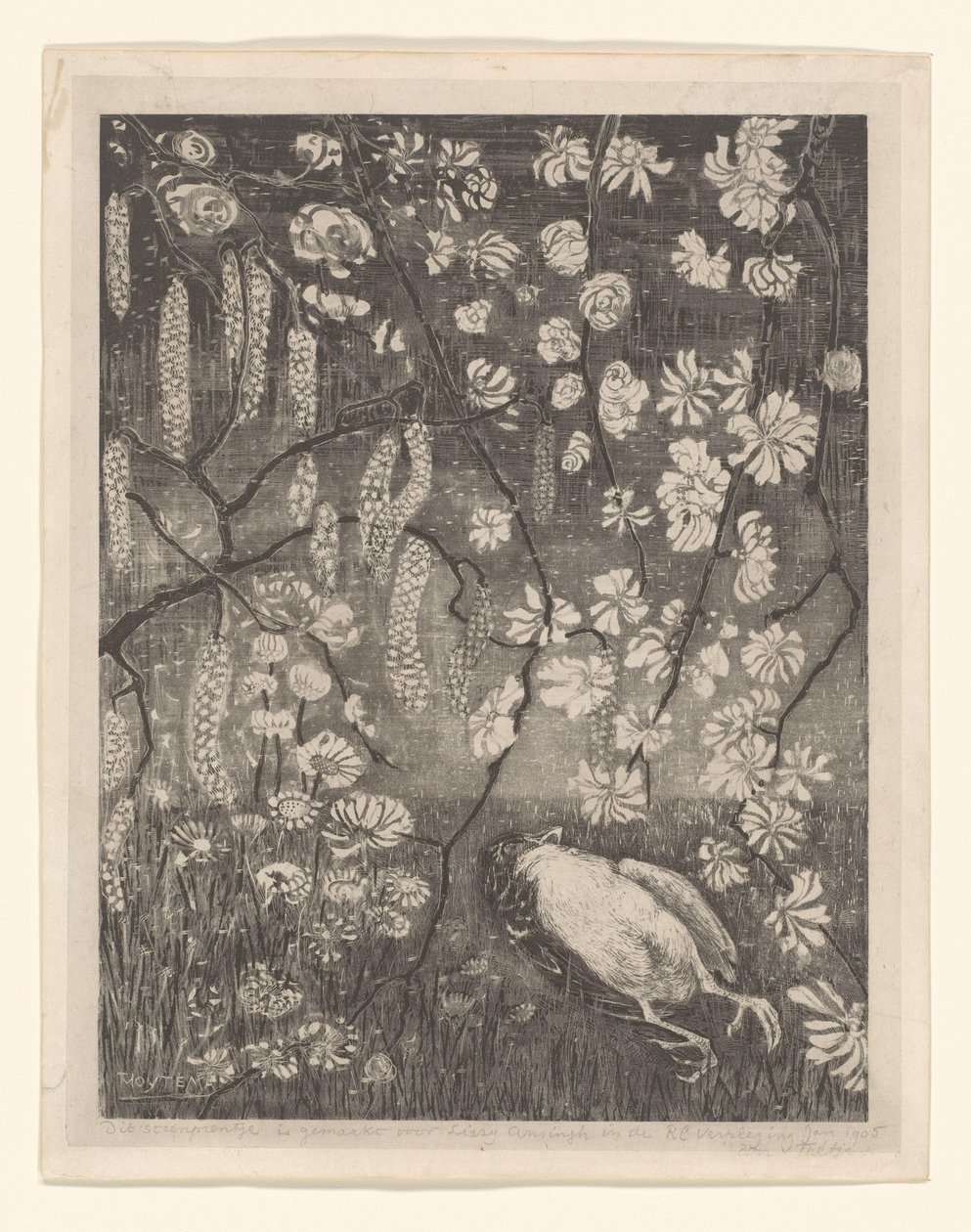 Kuollut lintu pähkinän ja kuusama oksien alla Flower Studies (alkuperäinen nimi) tekijältä Theo van Hoytema