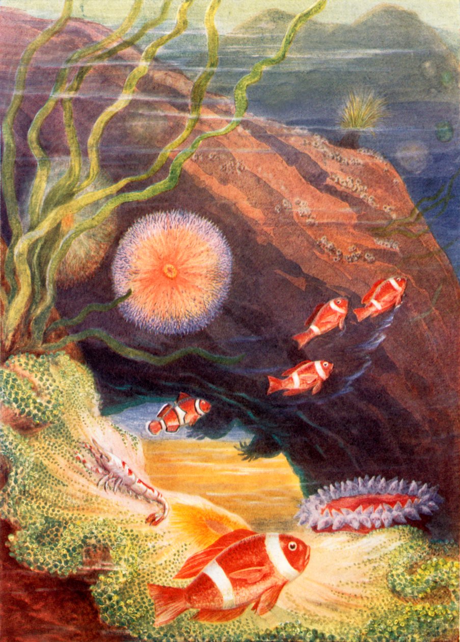  tekijältä Theobald Carreras