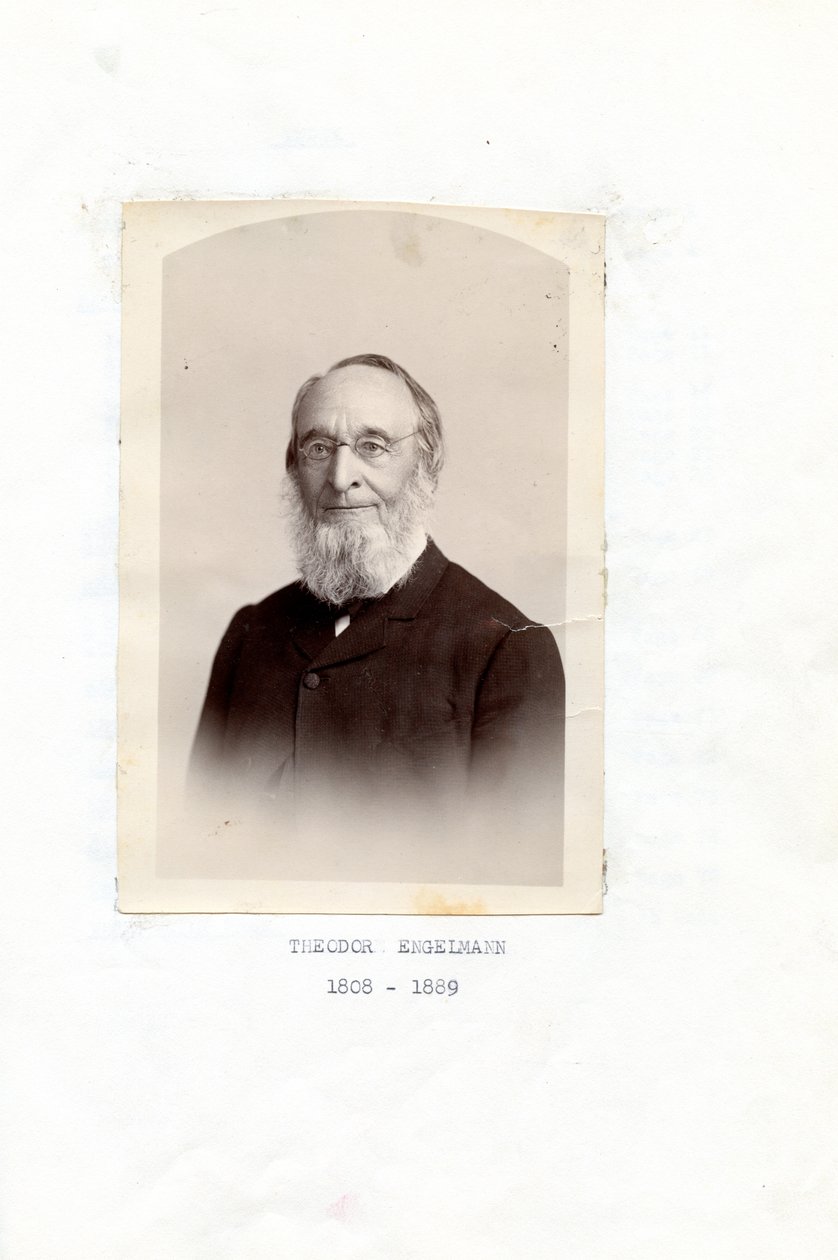 Theodore Engelmann Muistoja tekijältä Theodor Engelmann