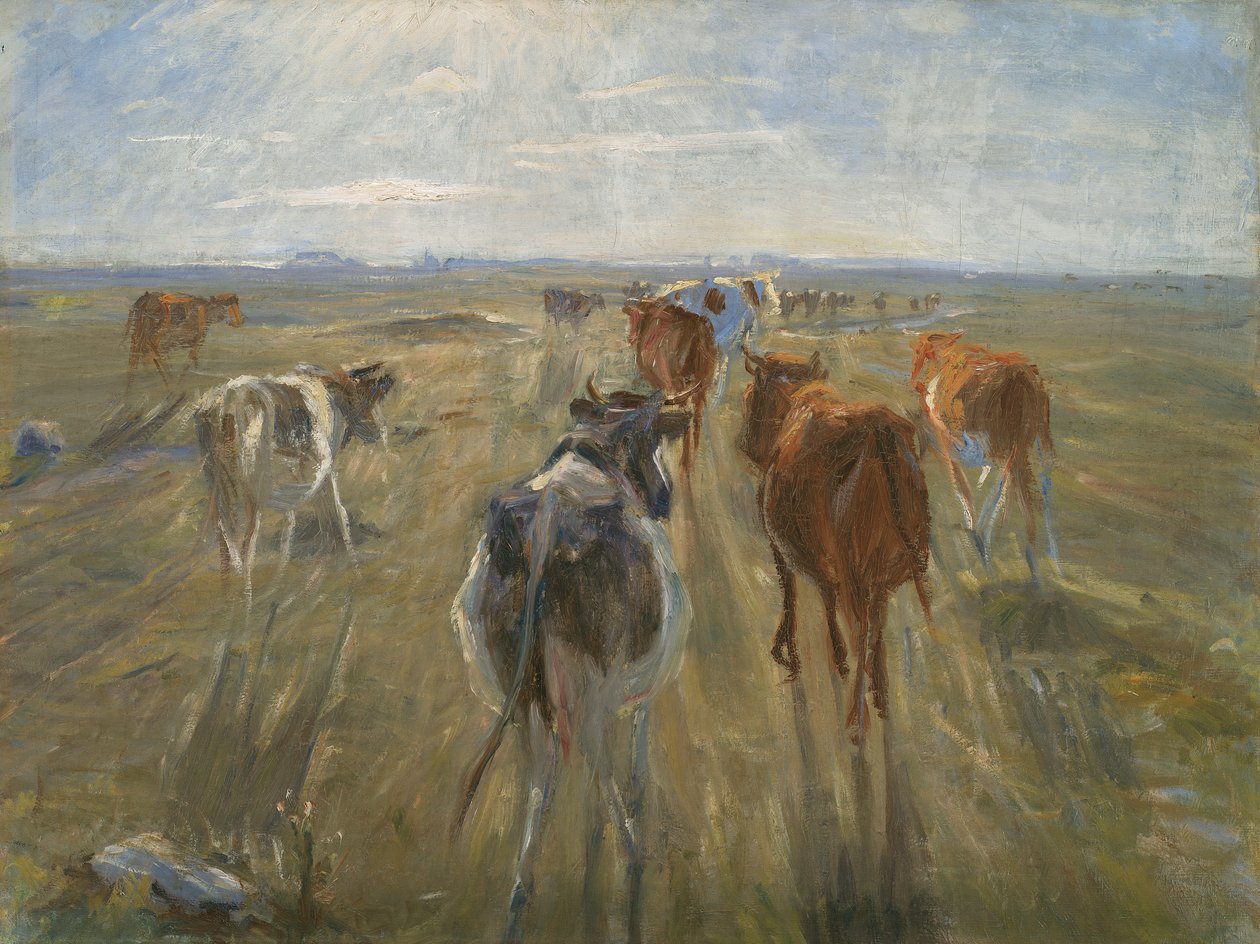 Pitkät varjot. Nautakarja Saltholmin saarella, n. 1890 tekijältä Theodor Esbern Philipsen