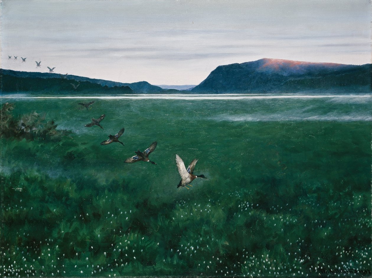 Kaksitoista villiä ankkaa tekijältä Theodor Kittelsen