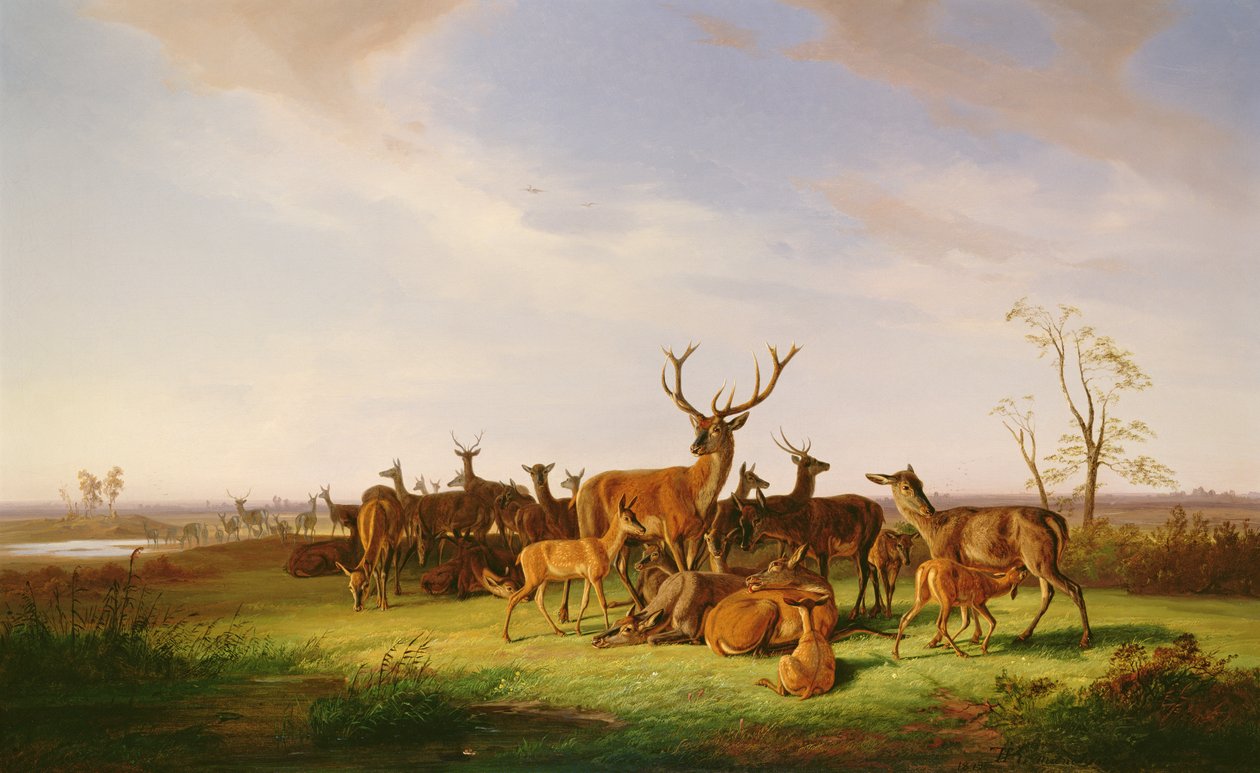 Peurolauma auringonvalossa laitumella tekijältä Theodor Julius Kiellerup