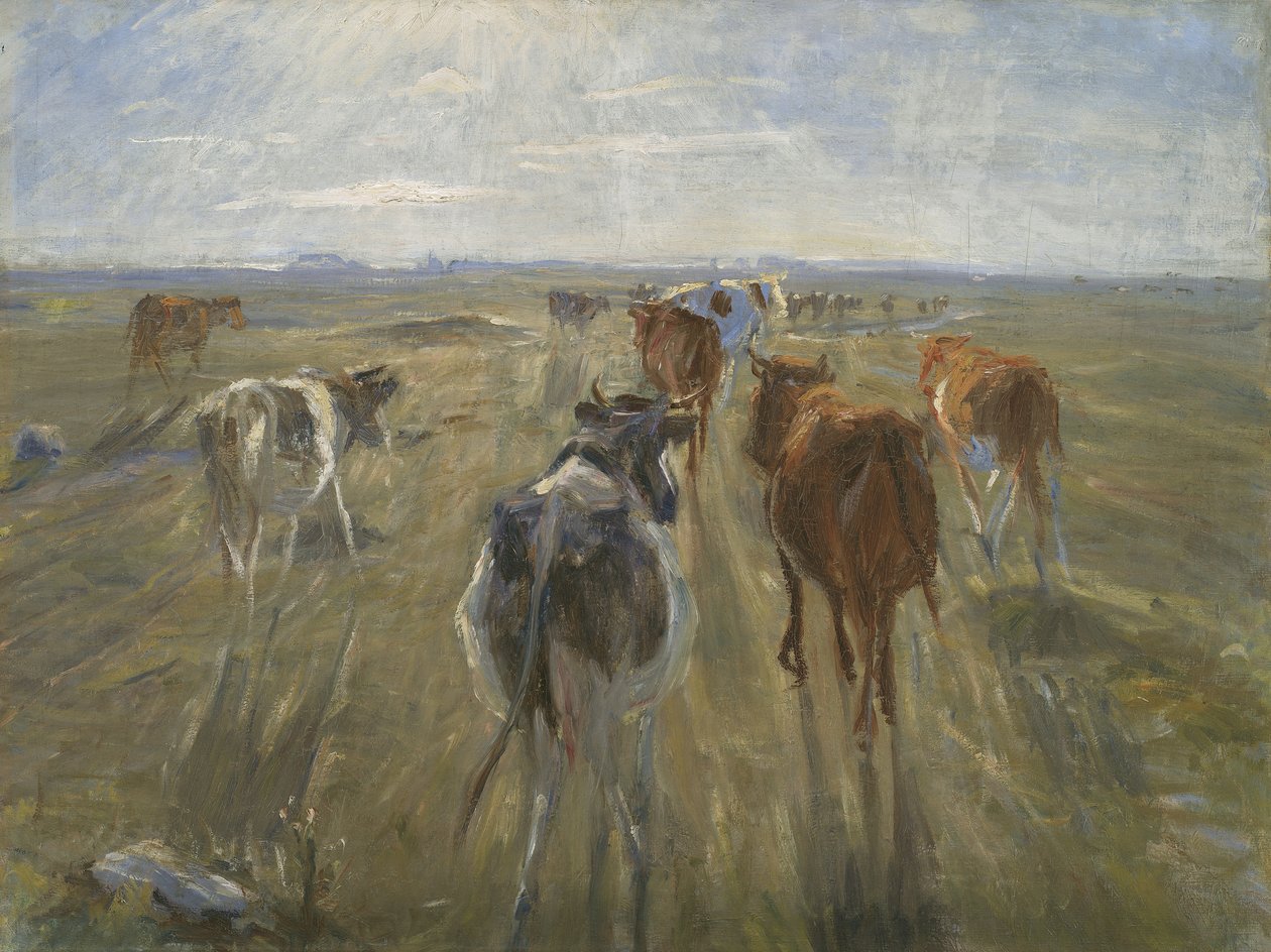 Pitkät varjot. Nautakarja Saltholmin saarella, n. 1890 tekijältä Theodor Philipsen