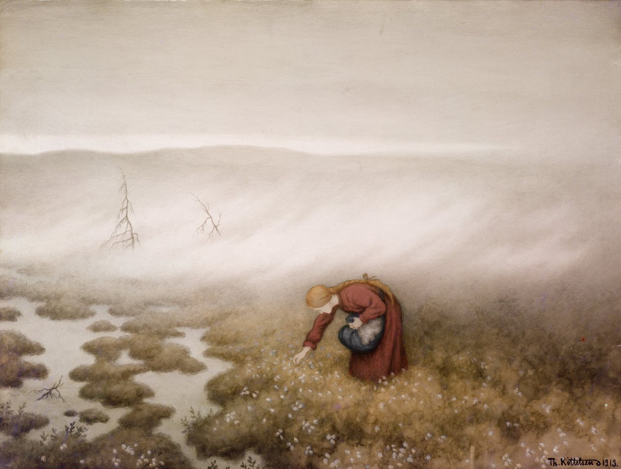 Puuvillaruoho tekijältä Theodor Kittelsen