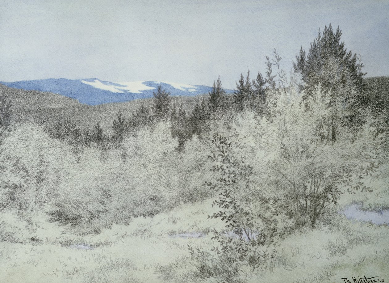 Kaukana metsässä tekijältä Theodor Kittelsen