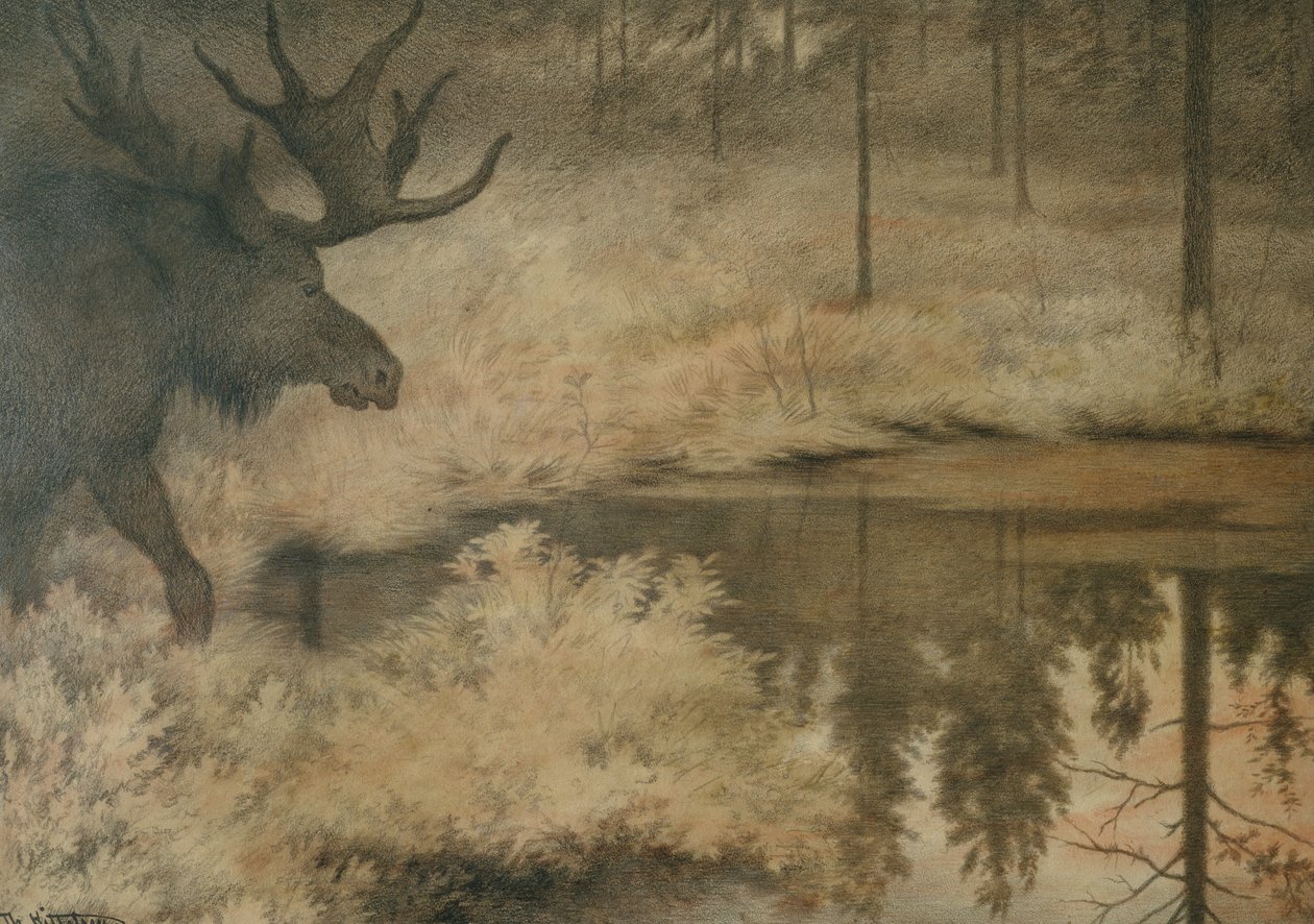 Hirvi tulee sammuttamaan janoaan tekijältä Theodor Kittelsen