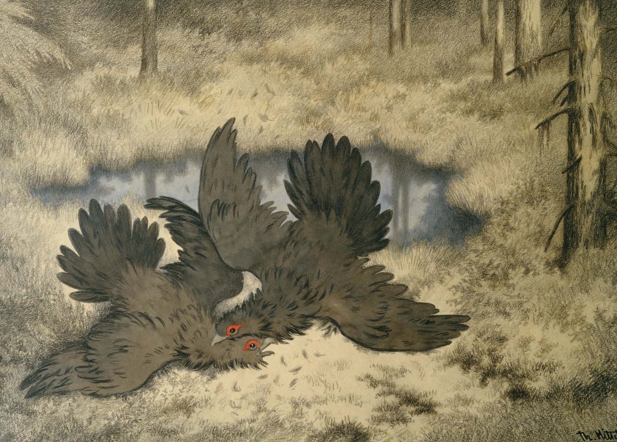 Peikkolintutaistelu siellä tekijältä Theodor Kittelsen