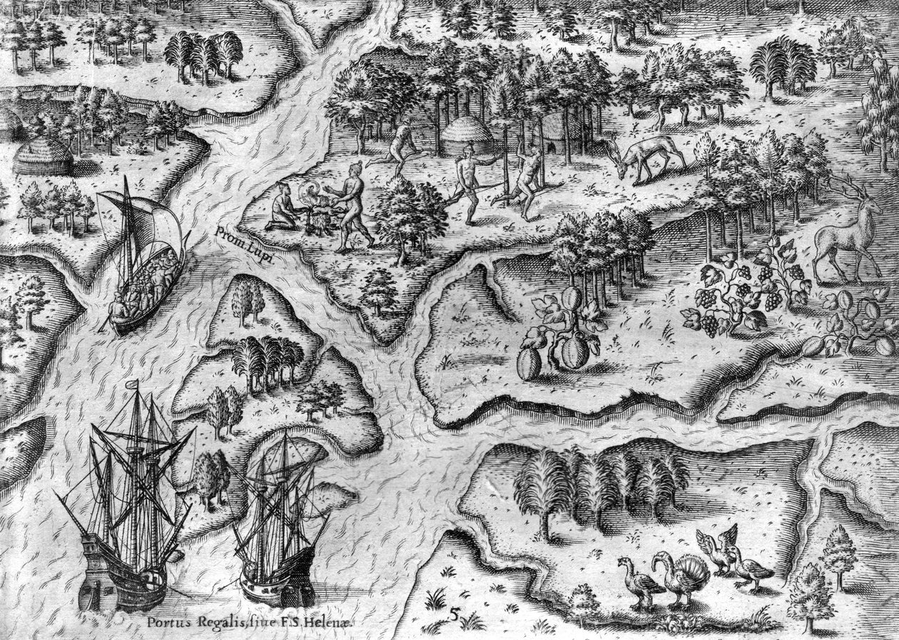 Ranskalainen retkikunta laskeutuu Port Royaliin, Floridaan. tekijältä Theodor de Bry