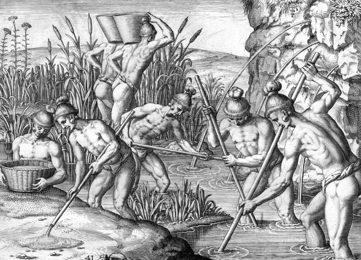 Timucua-intiaani keräämässä kultaa tekijältä Theodor de Bry