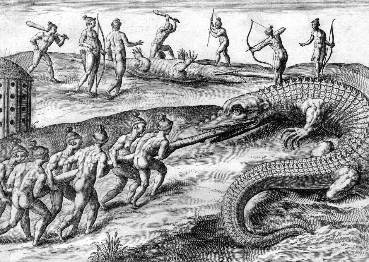 Timucuan intiaanit metsästävät alligaattoria tekijältä Theodor de Bry