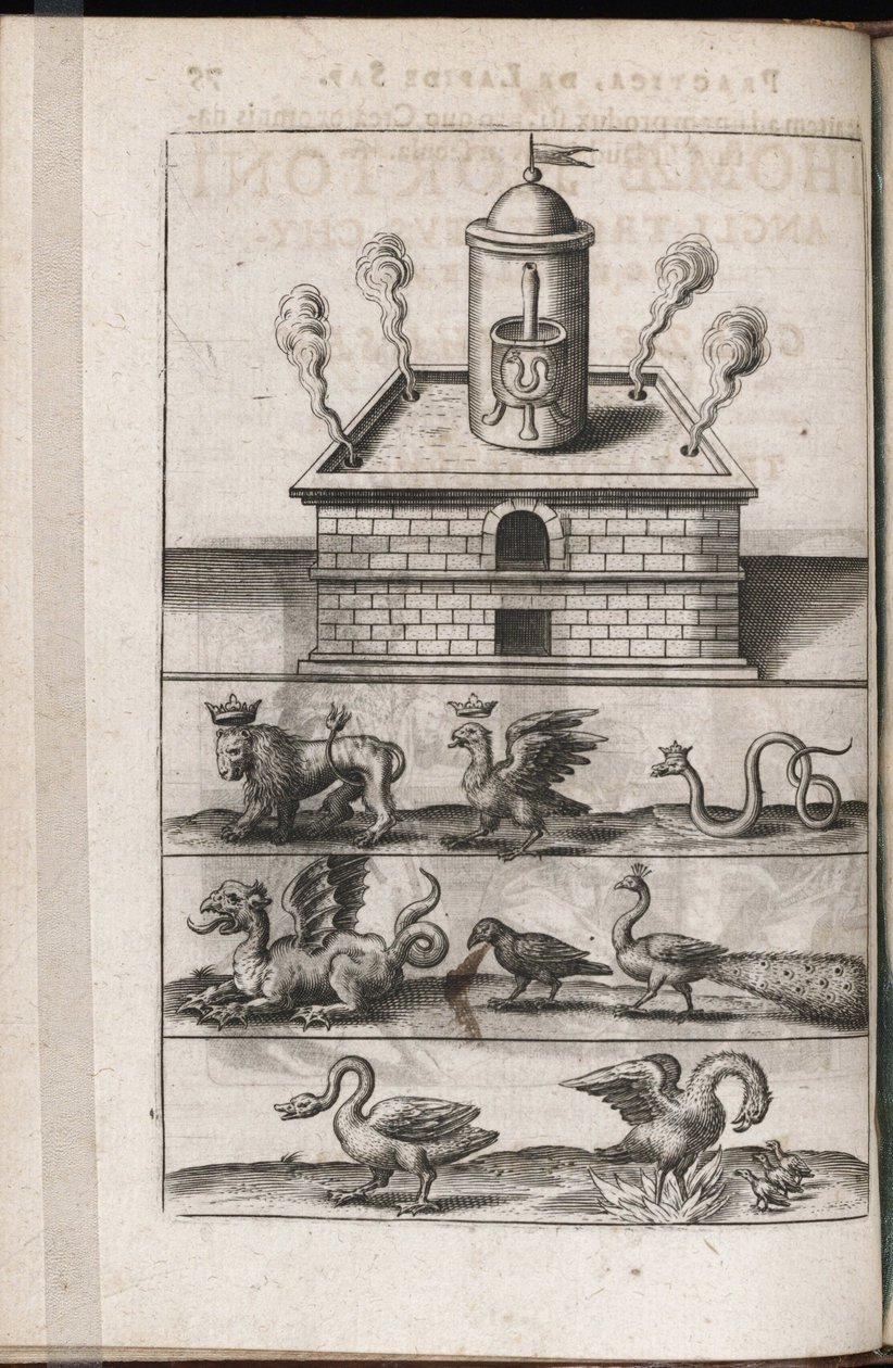 Alkemiauuni ja symboliset alkemiaeläimet – Theodore de Bryn (1528-1598) kaiverrus Michael Maierin (1569 -1622) alkemian tutkielmaan "Tripus avreus, hoc est, Tres tractatus chymici selectissimi" tekijältä Theodor de Bry