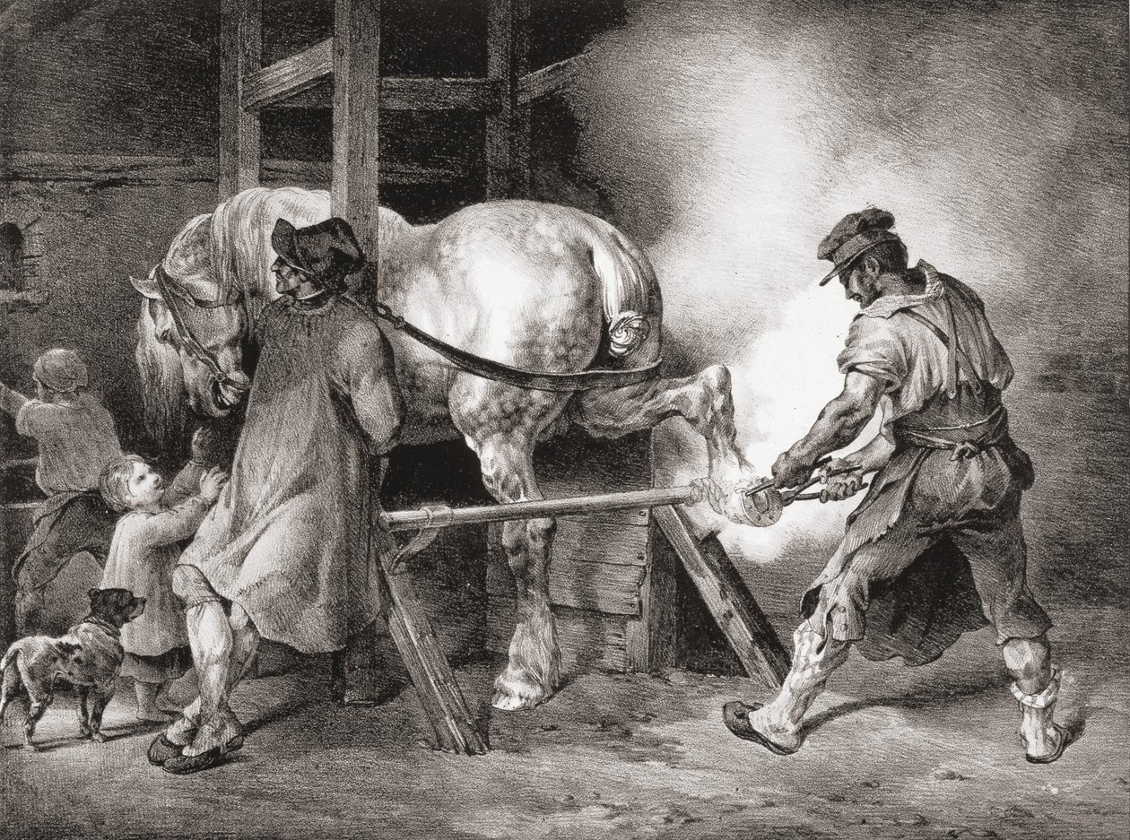 Farrier, Etudes de Cheveaux