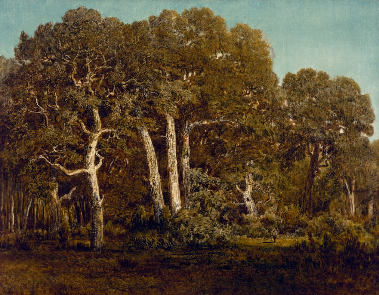 Vanhan Bas-Breaun suuret tammet, 1864 tekijältä Pierre Etienne Theodore Rousseau