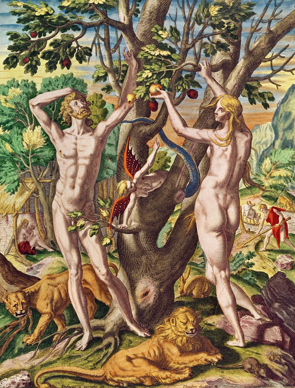 Admiranta Narratio... Adam ja Eeva (sivu 40), 1585-1588 (värikaiverrus) tekijältä Theodore de Bry