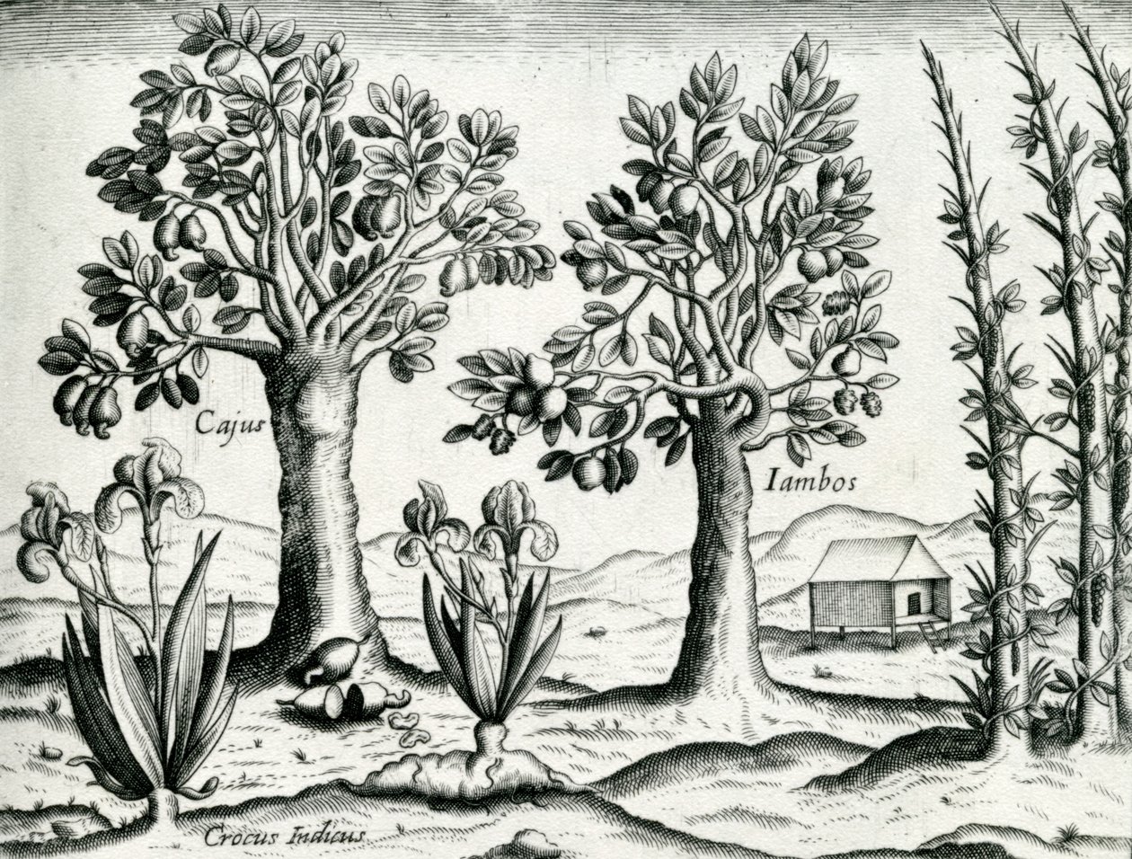 Maisema, kuvitus teoksesta 