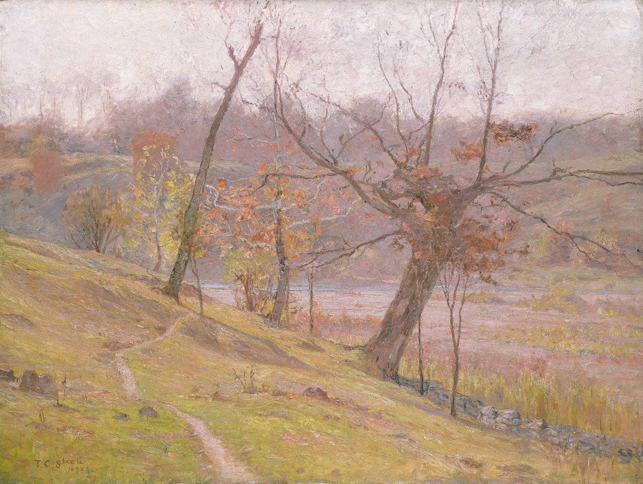 Viinirypäleen kukinta tekijältä Theodore Clement Steele