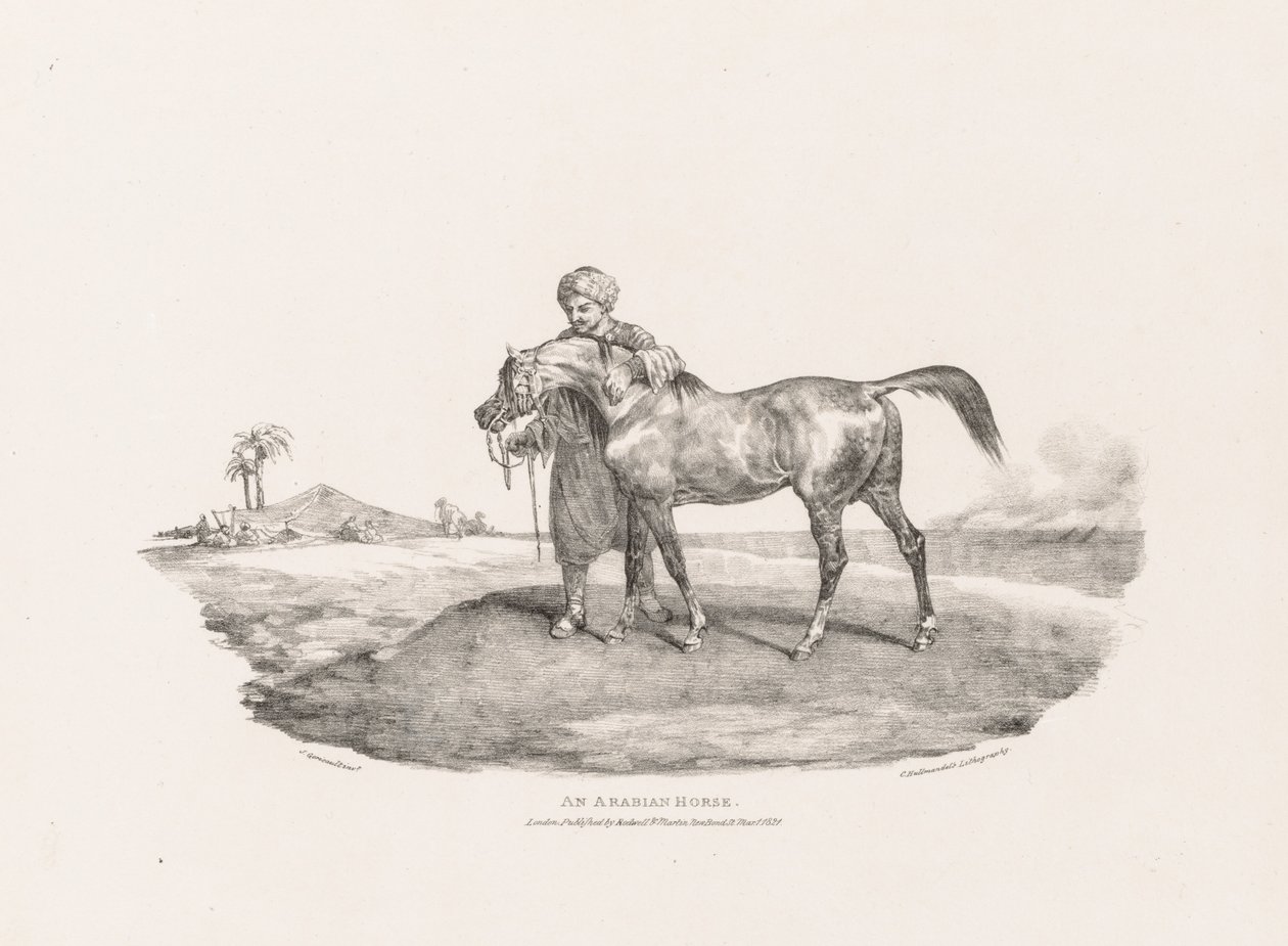 Arabianhevonen tekijältä Theodore Gericault