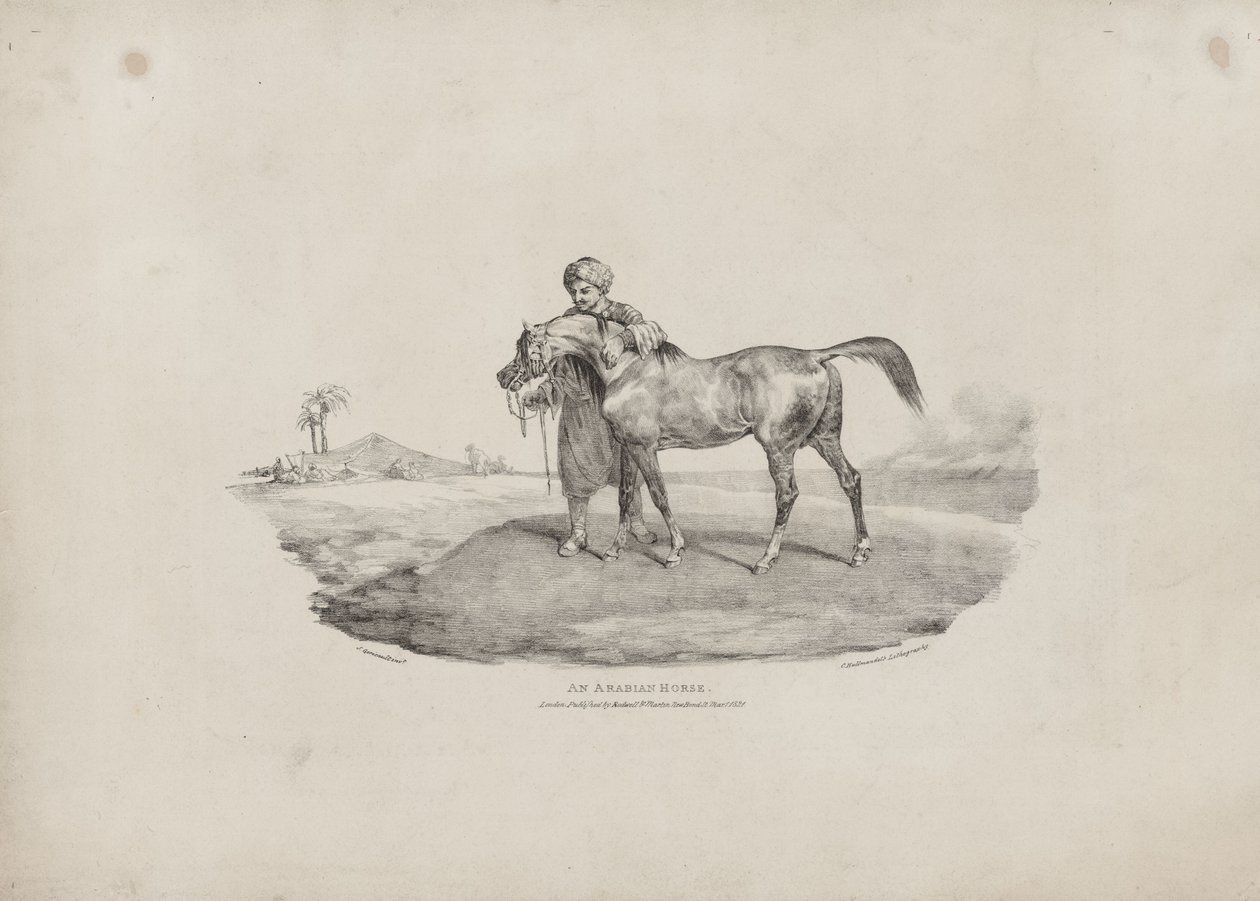 Arabialainen hevonen tekijältä Theodore Gericault