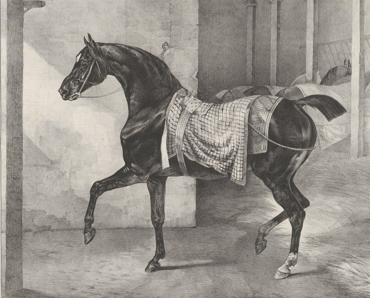 Musta hevonen sidottu talliin, 1822. tekijältä Theodore Gericault