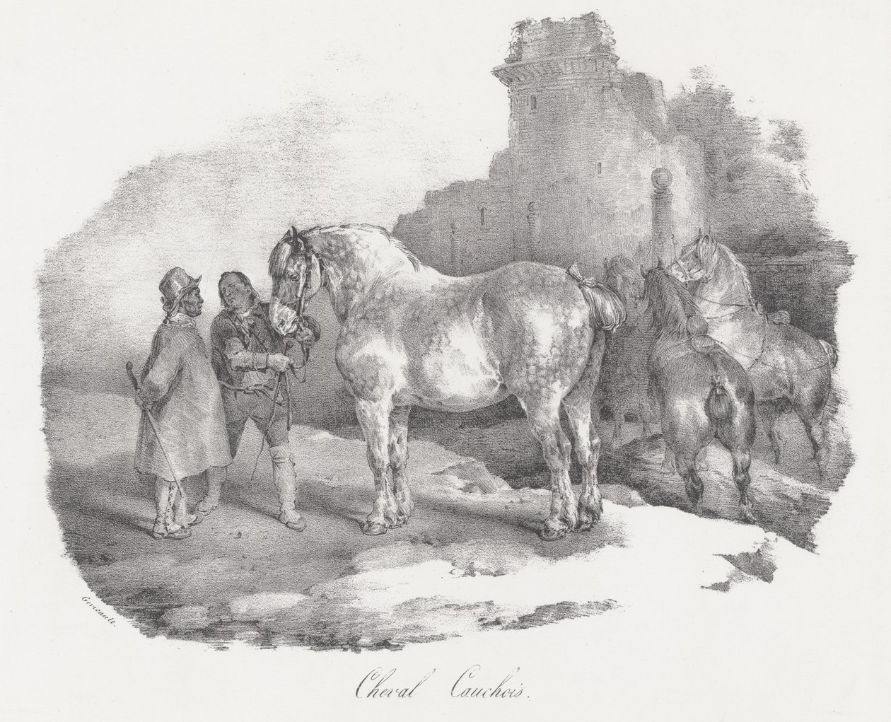 Cheval Cauchois (Cauxin, Normandian, alkuperäinen hevosrotu) tekijältä Theodore Gericault