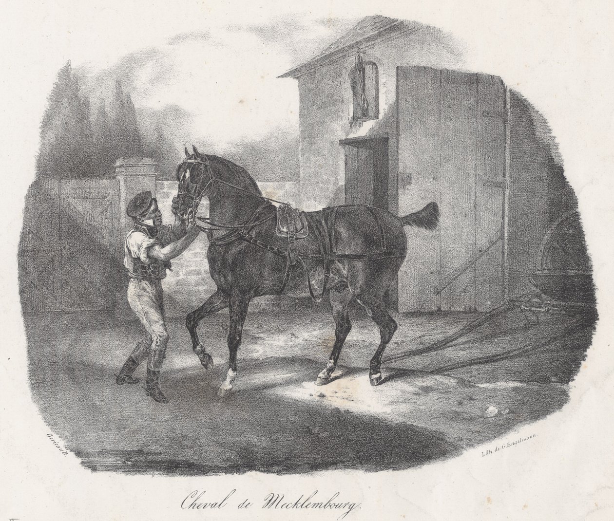 Mecklenburgin hevonen (A Mecklenburg Horse) tekijältä Theodore Gericault