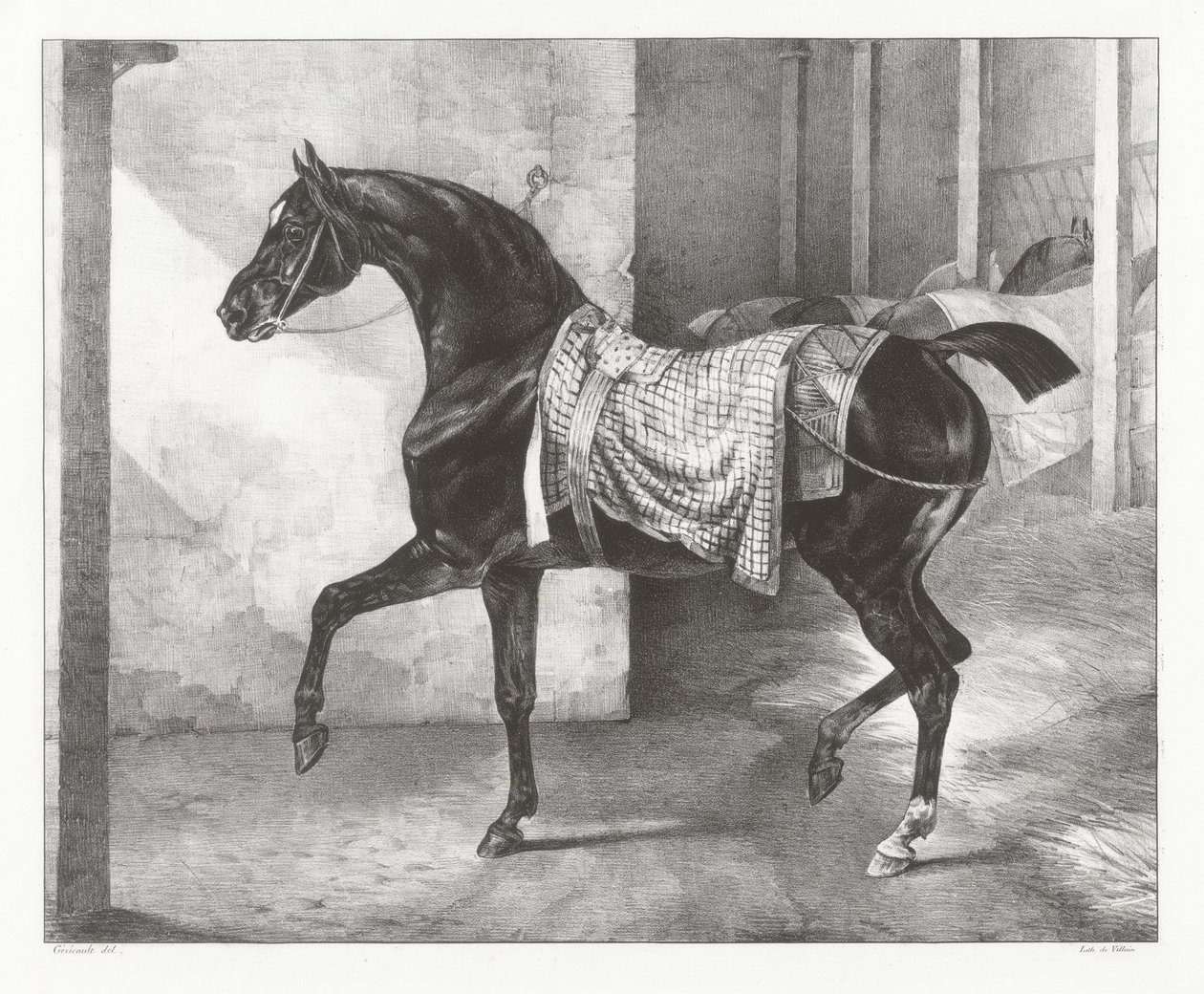 Talliin sidottu musta hevonen (A Black Horse Tethered in a Stable) tekijältä Theodore Gericault