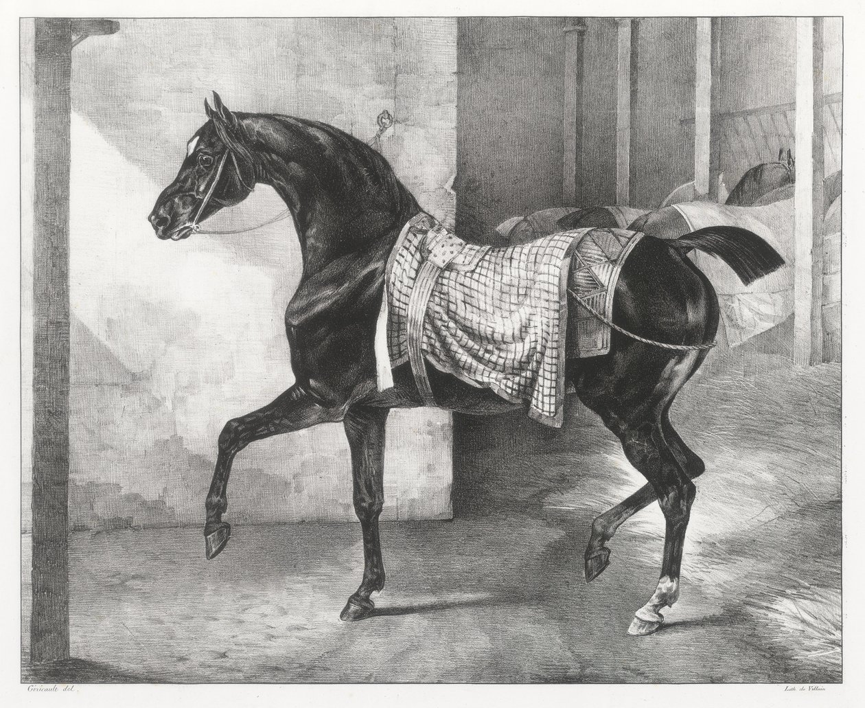 Talliin sidottu musta hevonen (A Black Horse Tethered in a Stable) tekijältä Theodore Gericault