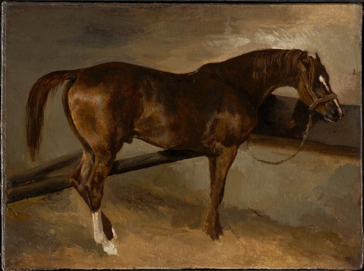Dervissi kojussaan tekijältä Theodore Gericault