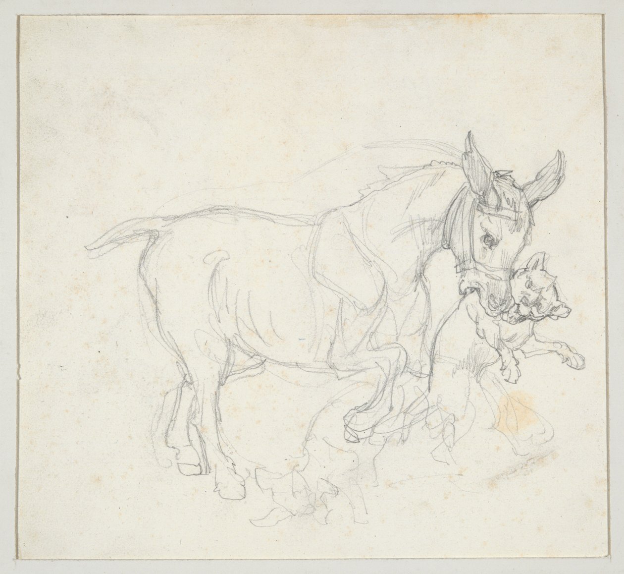 Aasi, joka pitää koiraa suussaan (etupuoli); luonnos koirien jahtaamasta hirvestä, naarashirven pää (takapuoli) tekijältä Theodore Gericault