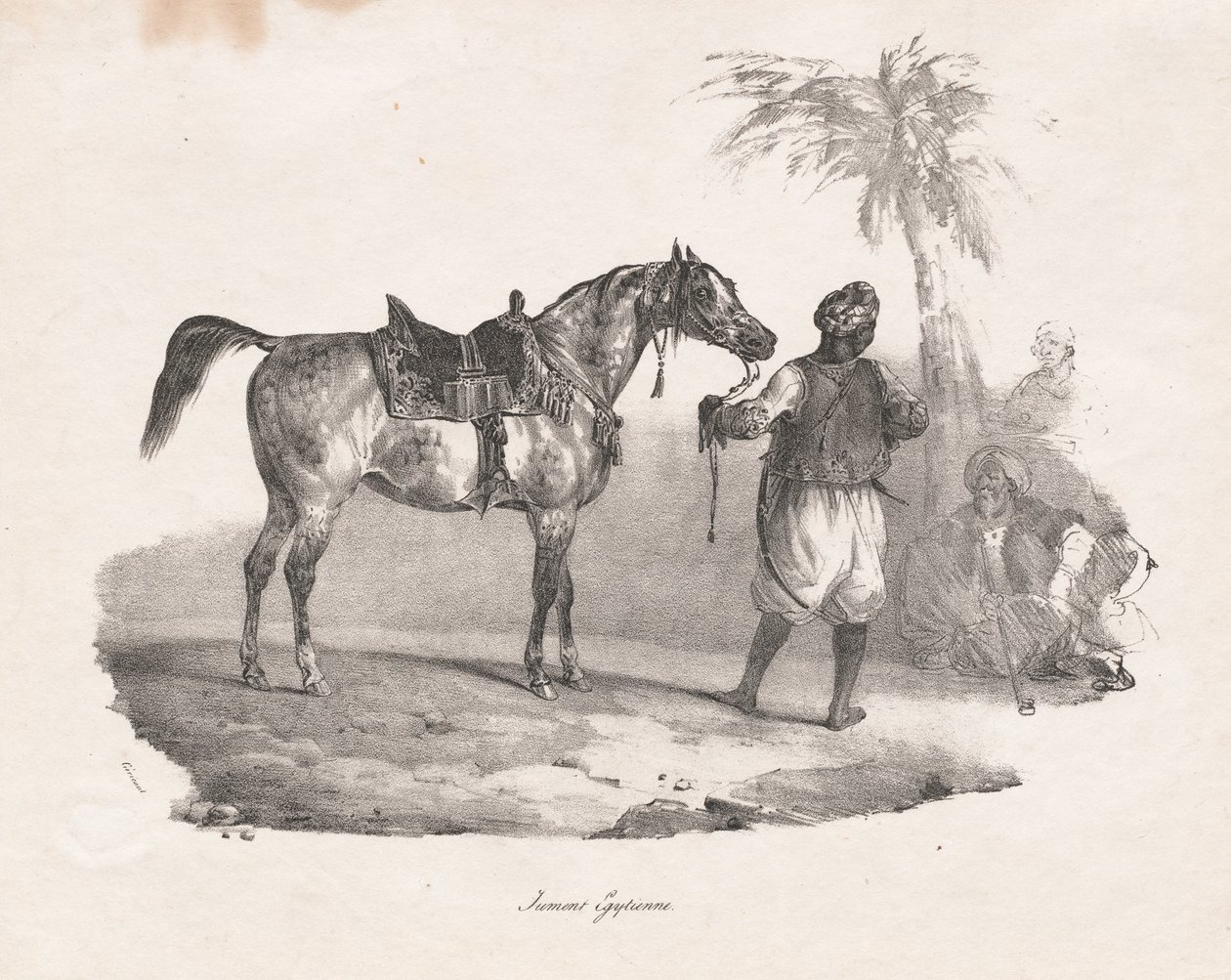 Egyptin tamma tekijältä Theodore Gericault