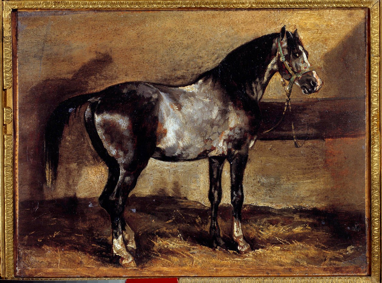 Gray Horse at the Ratelier Theodore Gericaultin (1791-1824) maalaus 1800-luvun su. 0,26x0,34 m tekijältä Theodore Gericault