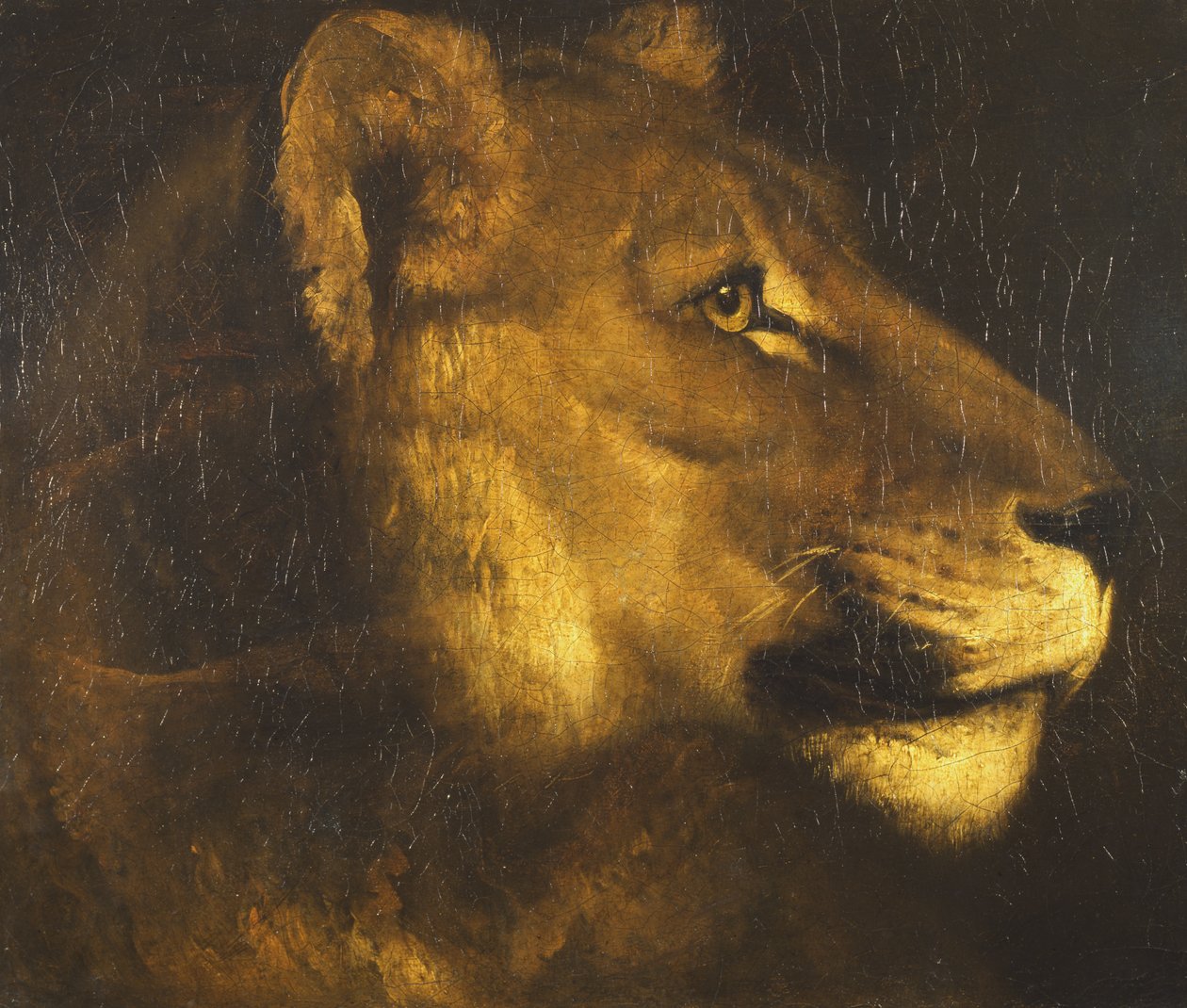Leijonattaren pää tekijältä Theodore Gericault