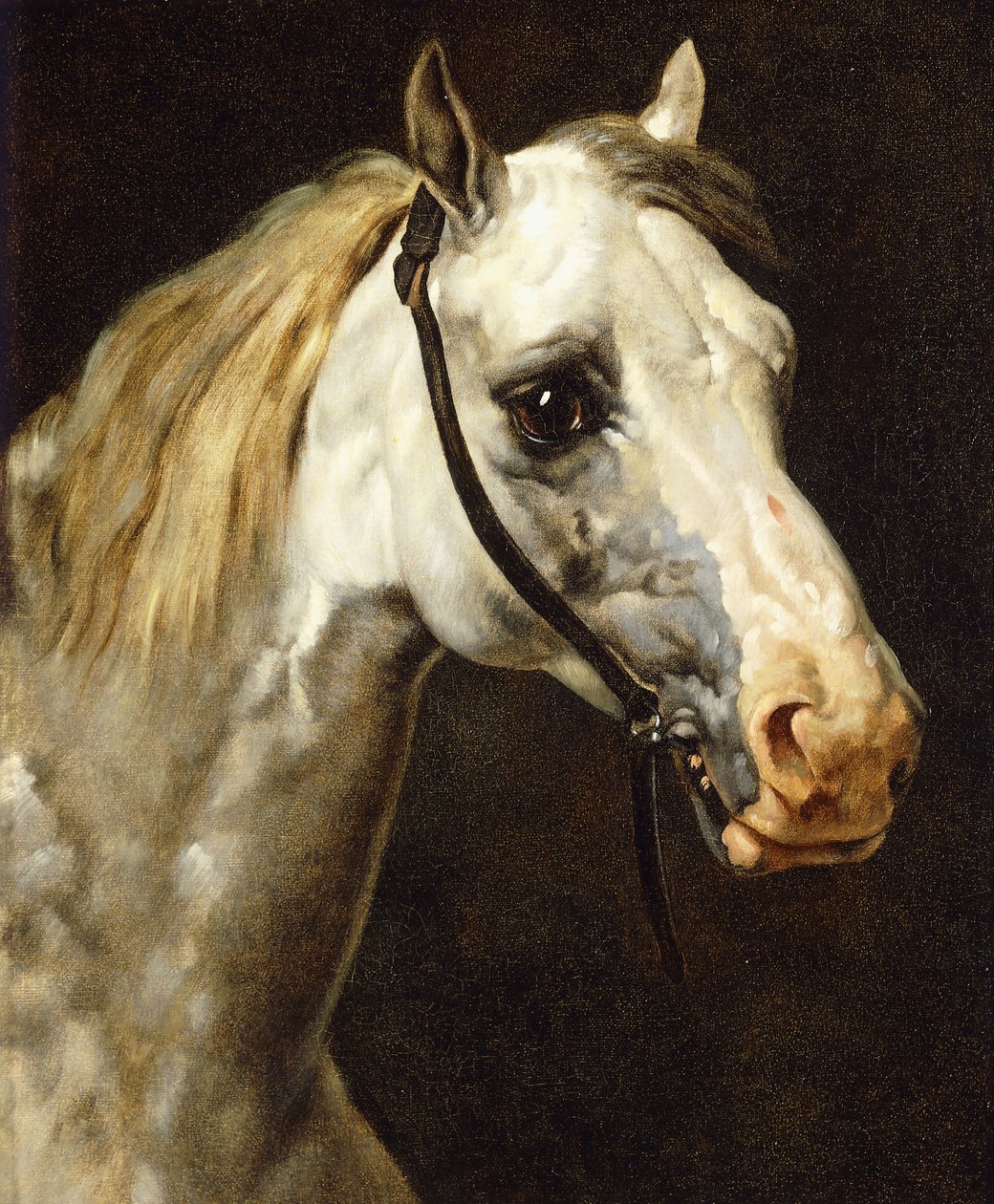 Piebald-hevosen pää, tekijältä Theodore Gericault