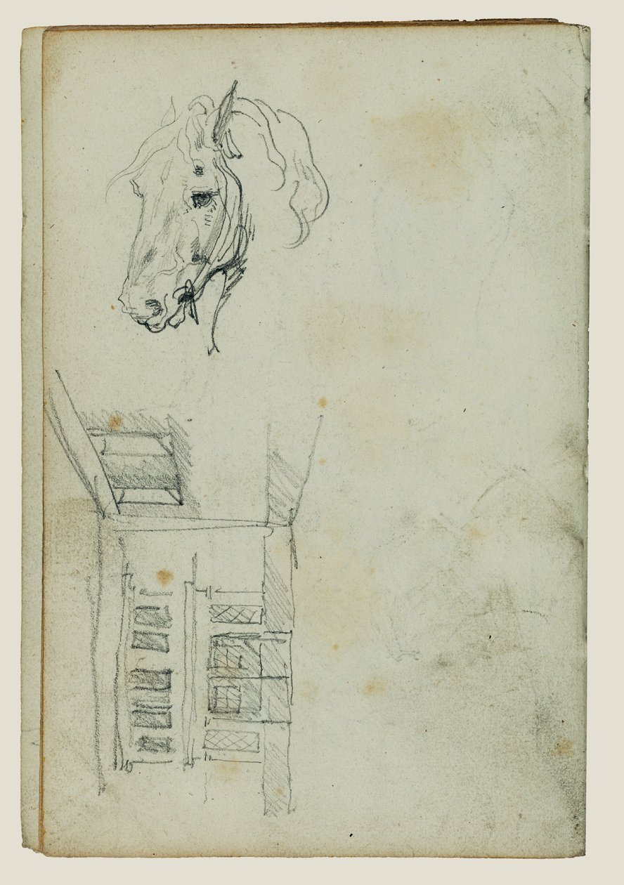 Hevosen pää, näkymä sisäpihalle tekijältä Theodore Gericault