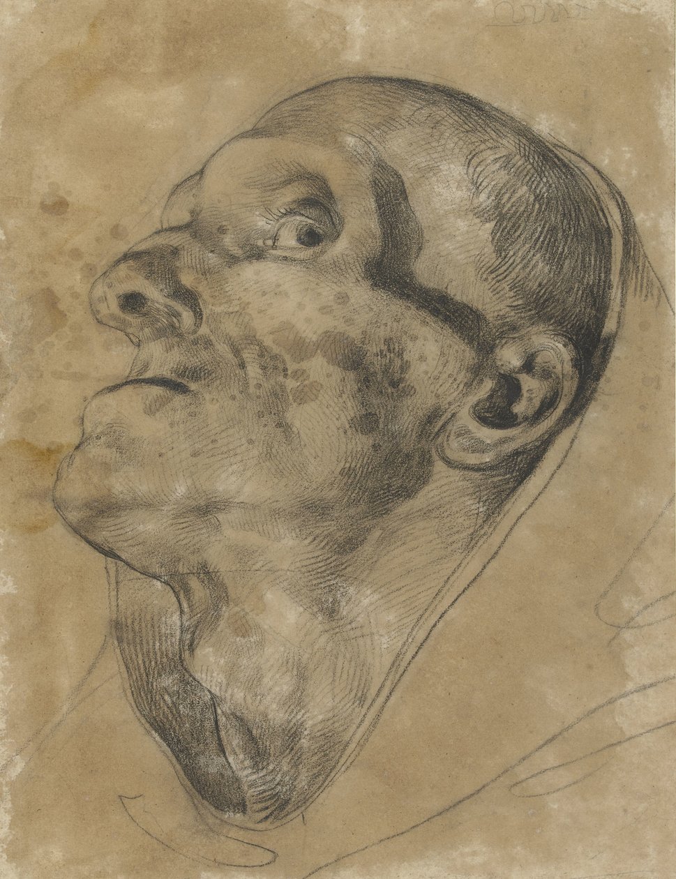 Alaspäin katsovan miehen pää tekijältä Theodore Gericault