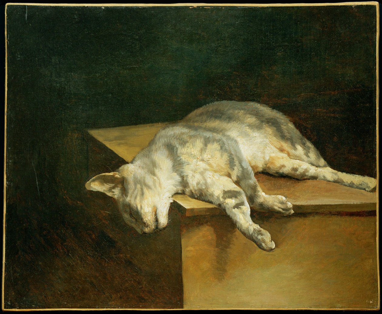 Le chat mort - Kuollut kissa ... tekijältä Theodore Gericault