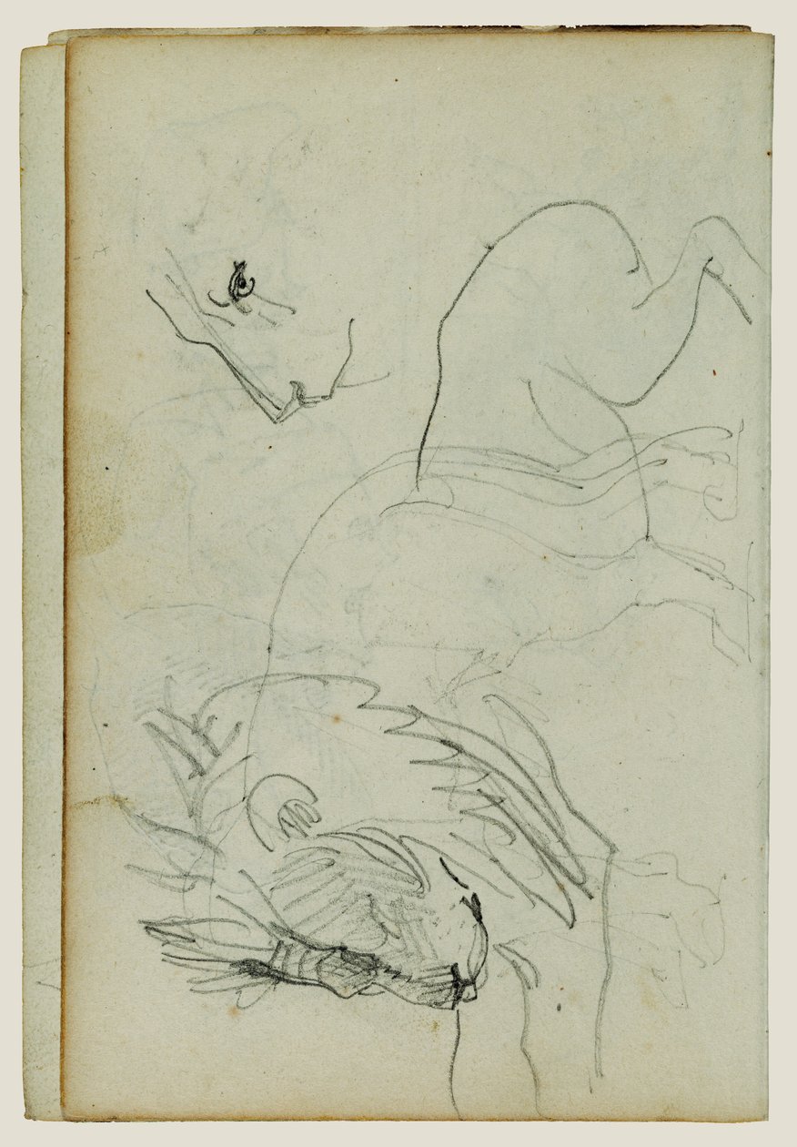 Leijonatutkimukset tekijältä Theodore Gericault