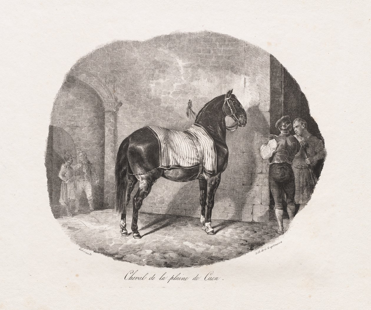 Litografoidut hevostutkimukset: Pl. 7, hevonen Caenin tasangolta tekijältä Theodore Gericault