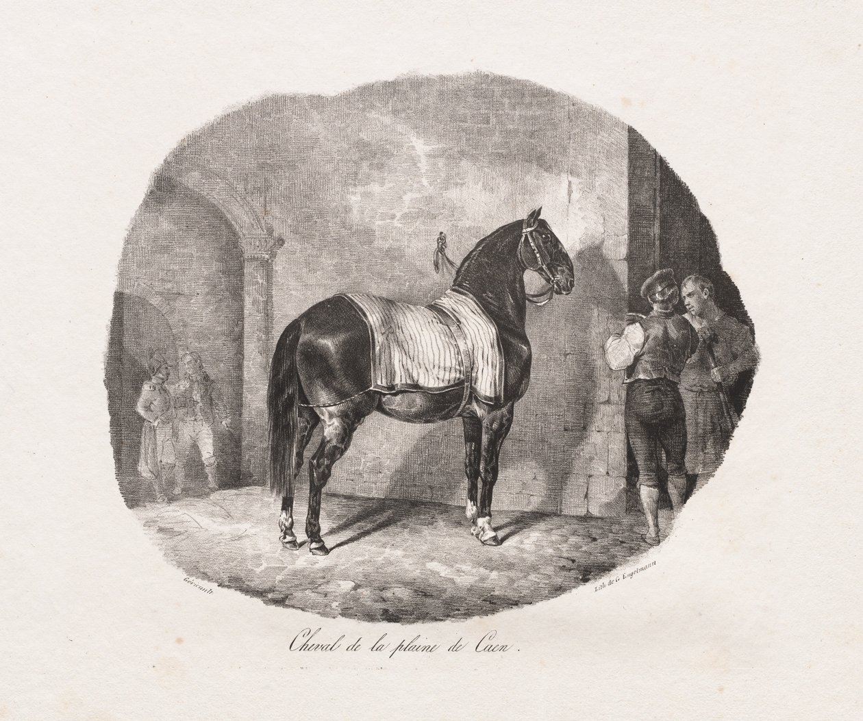 Litografoidut hevostutkimukset: Pl. 7, hevonen Caenin tasangolta, 1822. tekijältä Theodore Gericault