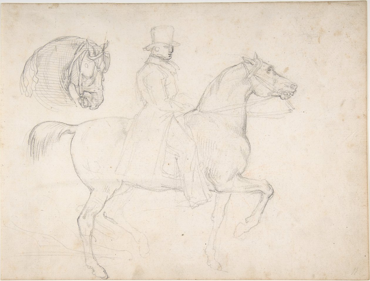 Mies hevosen selässä ja hevosen pään luonnos tekijältä Theodore Gericault