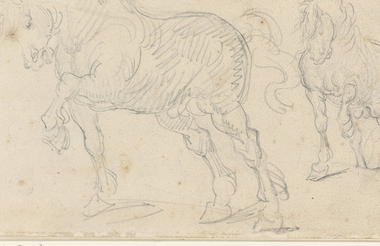 Hevostutkimukset tekijältä Theodore Gericault