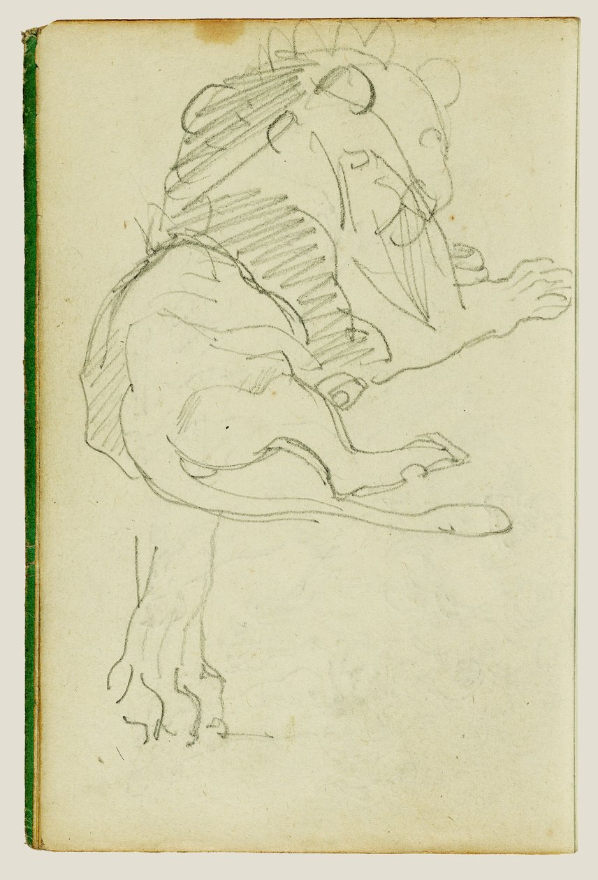 Istuva leijona tekijältä Theodore Gericault