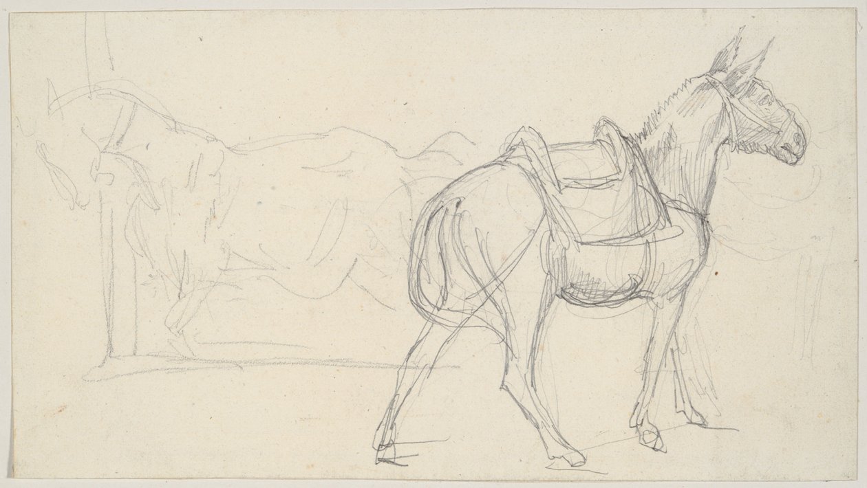 Hevosen luonnos tekijältä Theodore Gericault