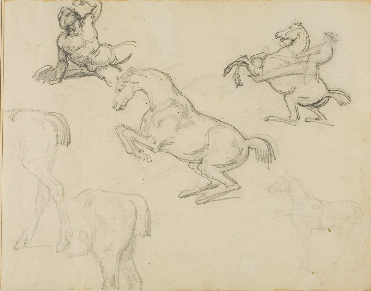 Luonnoksia: Hevosmies ja erilaisia hevosia. tekijältä Theodore Gericault