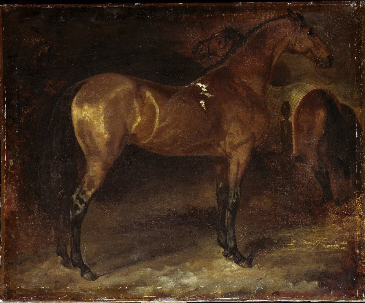 Espanjan hevonen - öljy kankaalle tekijältä Theodore Gericault
