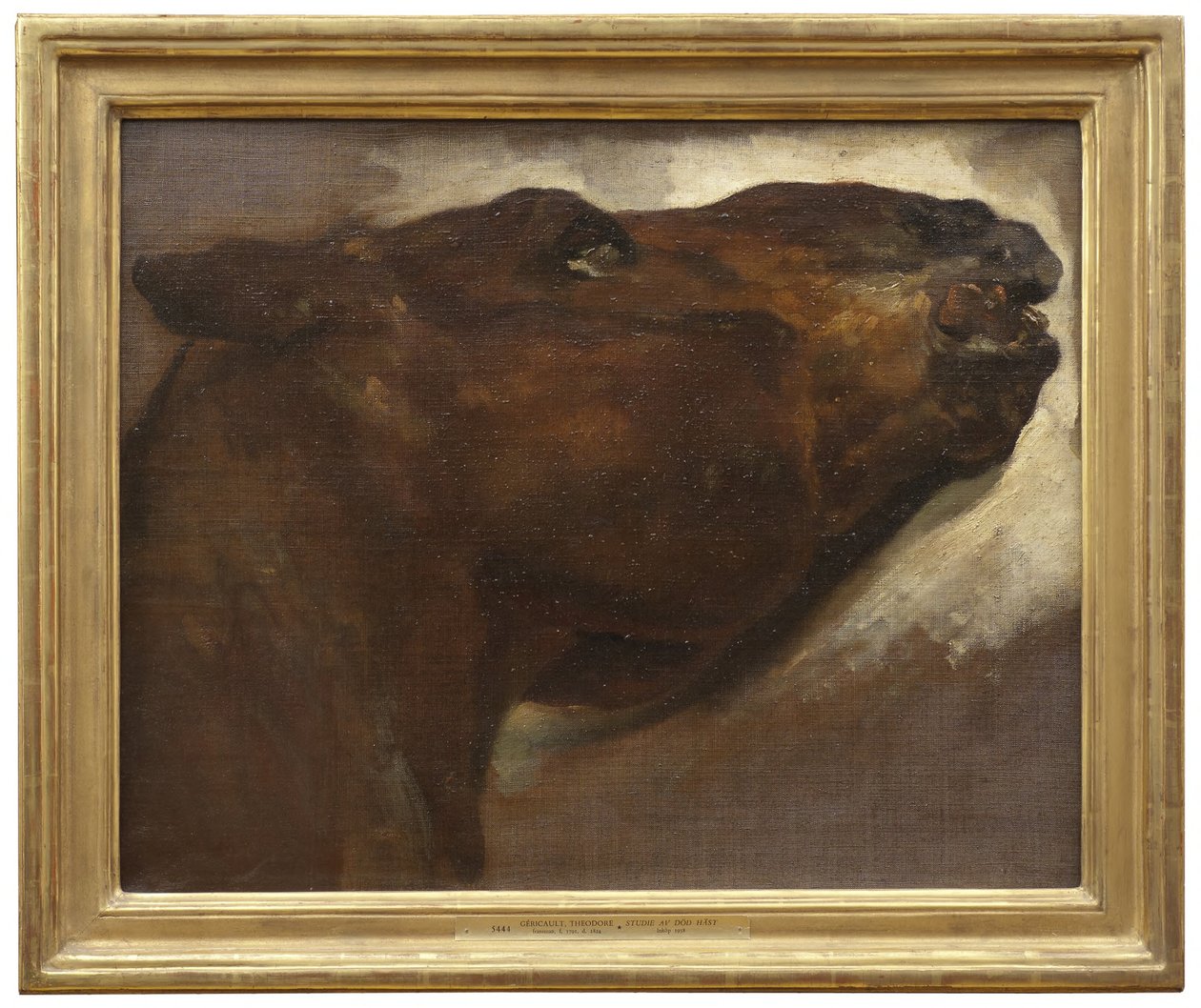 Tutkimus kuolleesta hevosesta tekijältä Theodore Gericault