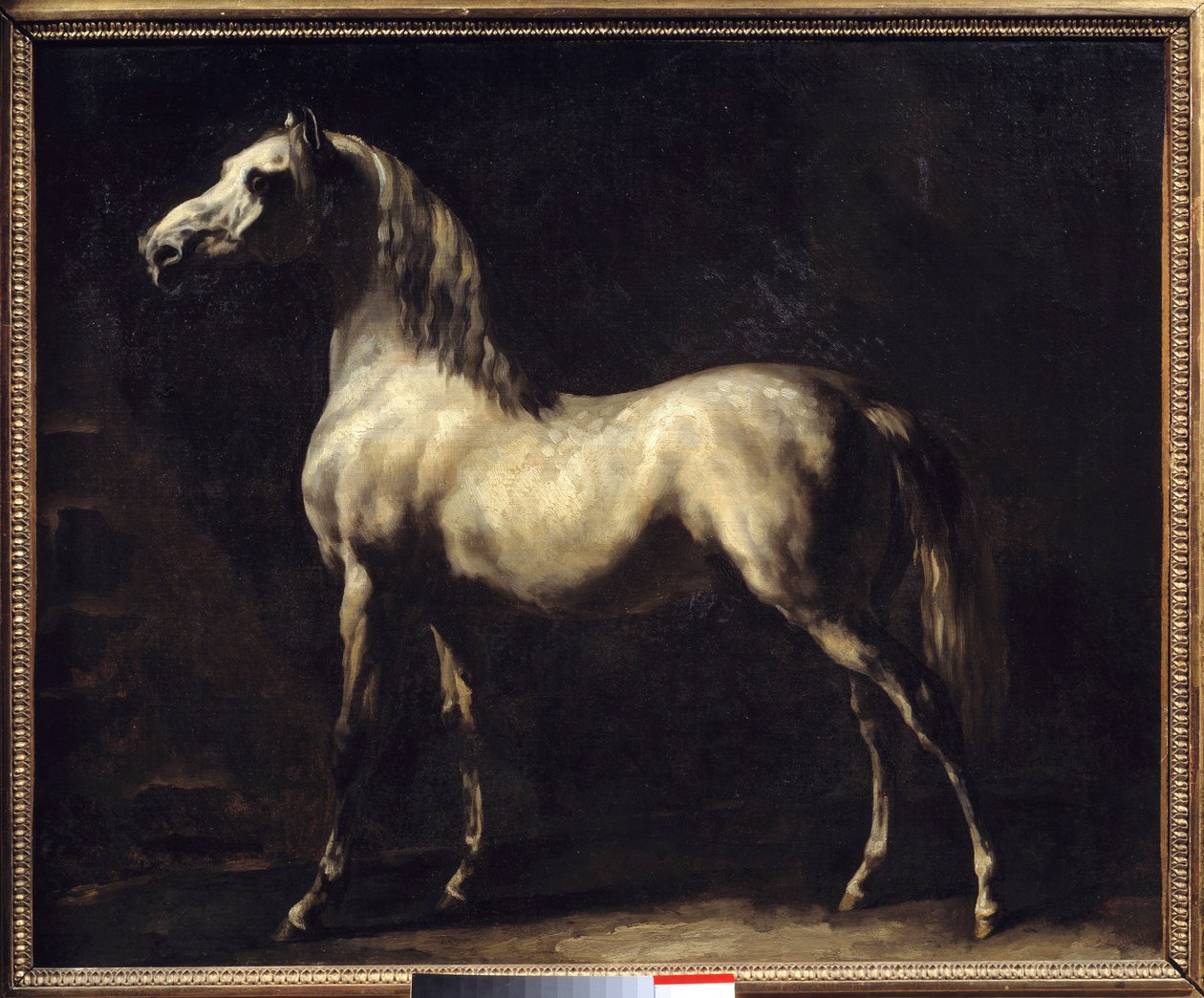 Theodore Gericaultin tutkimus hevosmaalauksesta tekijältä Theodore Gericault