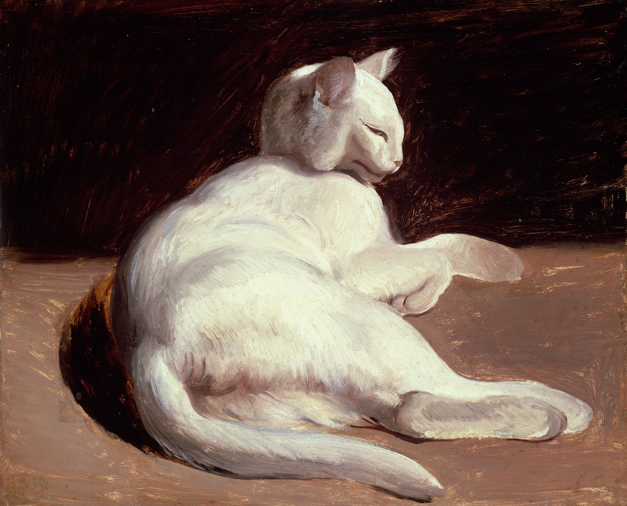 Valkoinen kissa, n. 1817-1818 tekijältä Theodore Gericault