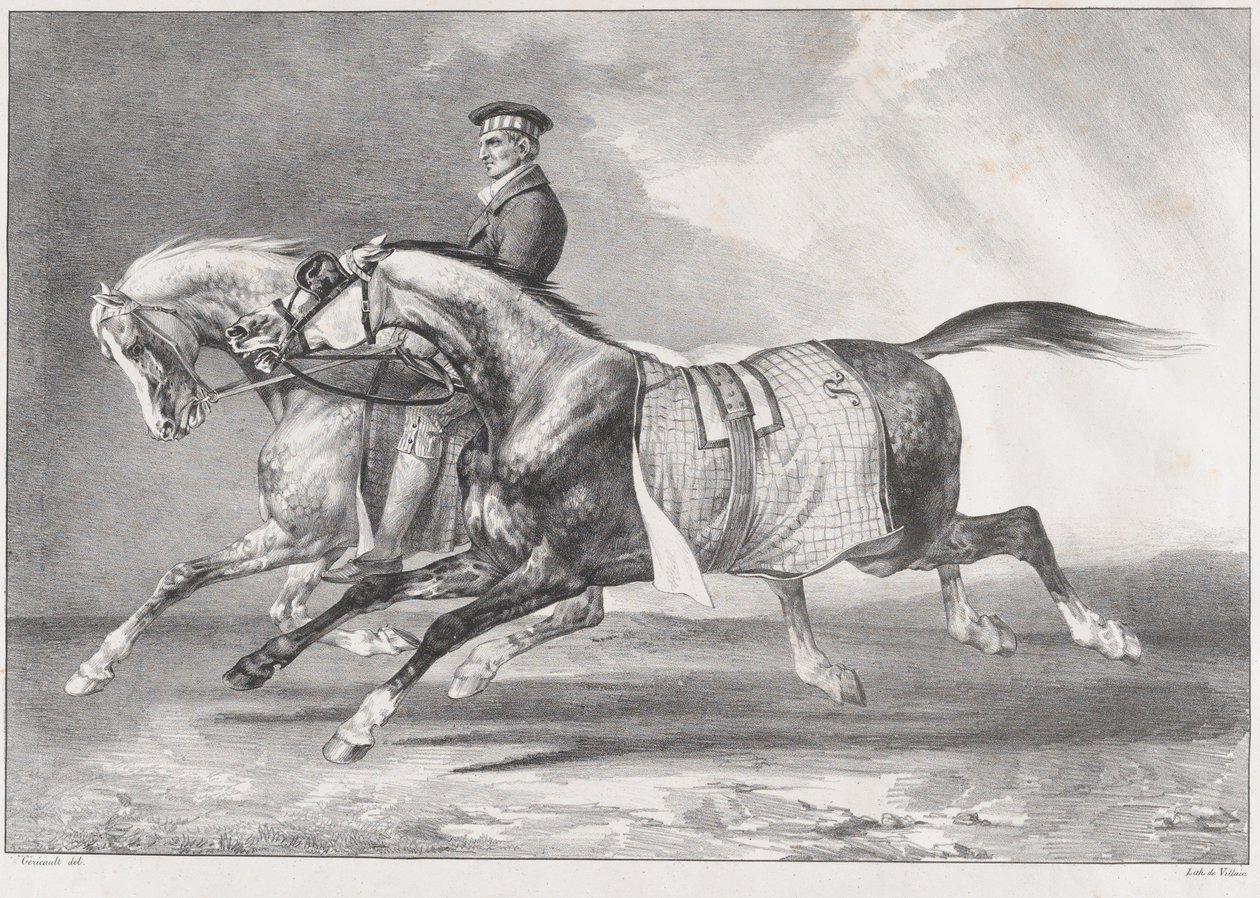 Kaksi pilkullista harmaata hevosta liikuntaharjoituksessa tekijältä Theodore Gericault